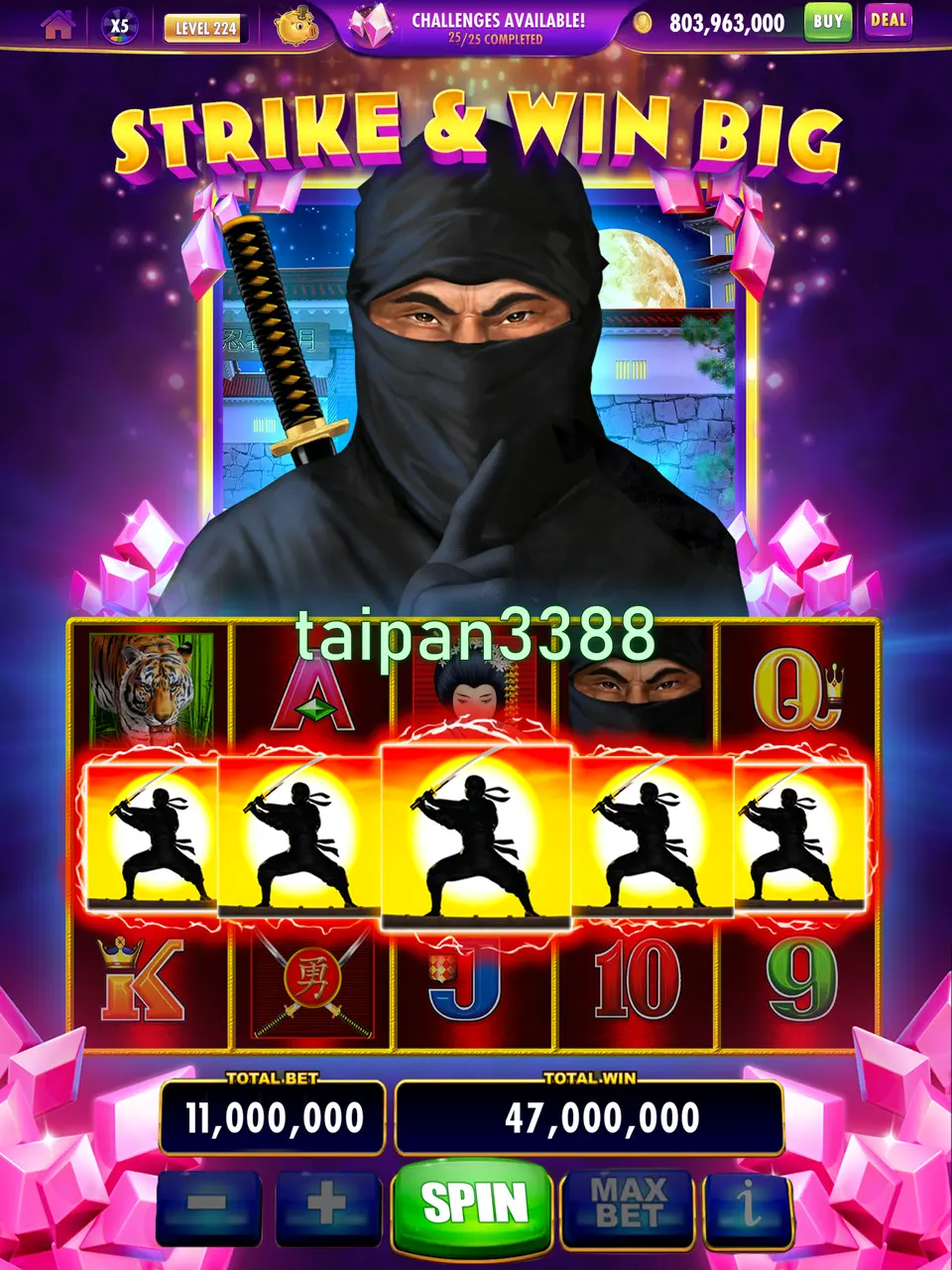 taipan3388 APK